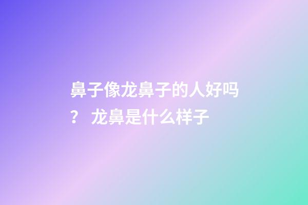 鼻子像龙鼻子的人好吗？ 龙鼻是什么样子